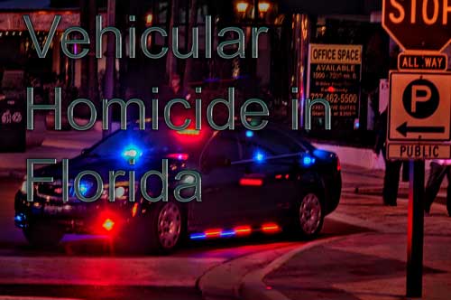 Vehicular Homicide Florida Lawyer